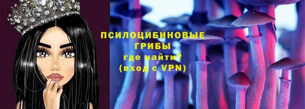 гашик Володарск