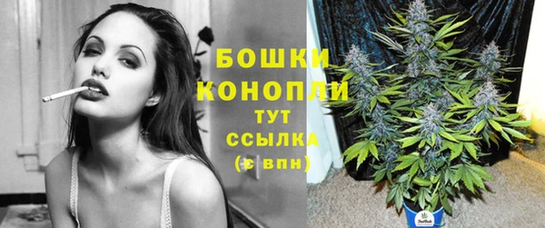 гашик Володарск