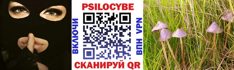 Галлюциногенные грибы Cubensis  Купить где  Усть-Лабинск 